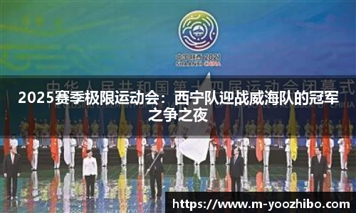 2025赛季极限运动会：西宁队迎战威海队的冠军之争之夜